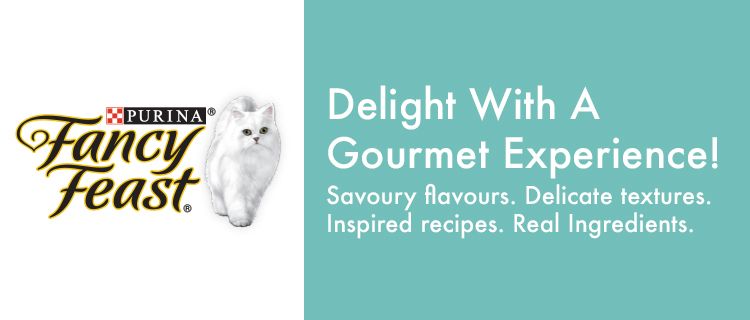 Delight with a gourmet experience by feeding Fancy Feast to your cat!